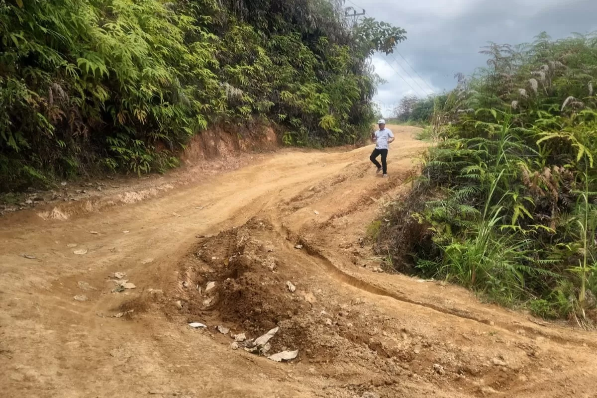 Jalan Ranah Pemetik Kerinci Jadi Prioritas Infrastruktur 2026 Perbaikan Segera Dimulai